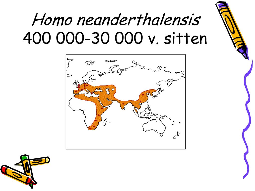 Homo neanderthalensis v. sitten