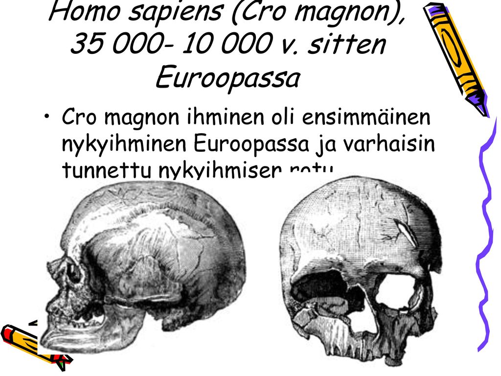 Homo sapiens (Cro magnon), v. sitten Euroopassa