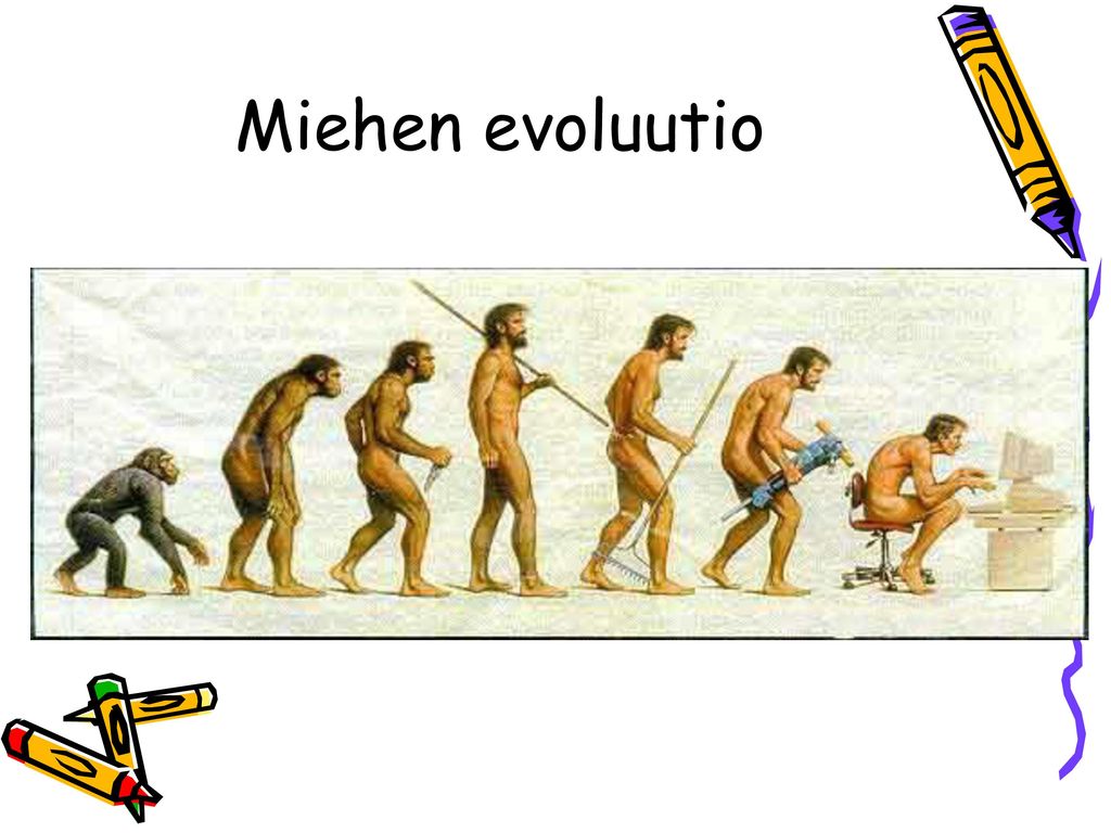 Miehen evoluutio