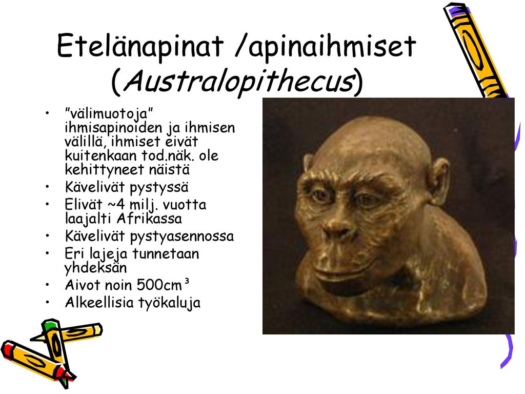 Etelänapinat /apinaihmiset (Australopithecus)
