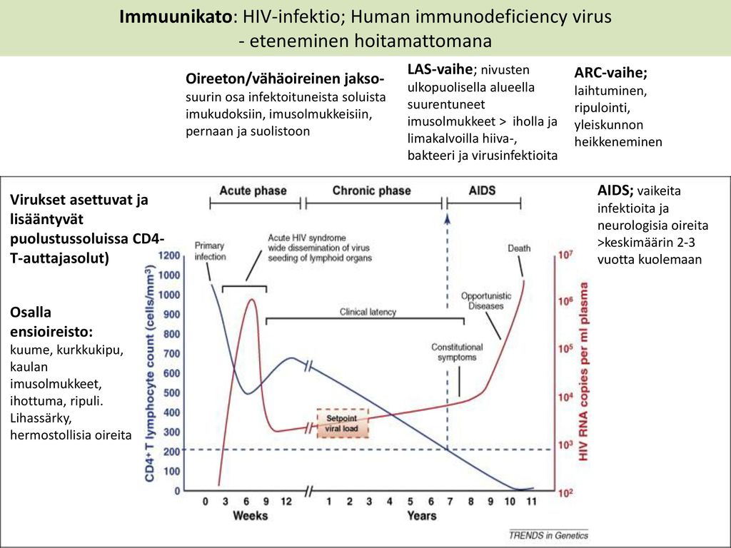 Immuunikato: HIV-infektio; Human immunodeficiency virus - eteneminen hoitamattomana