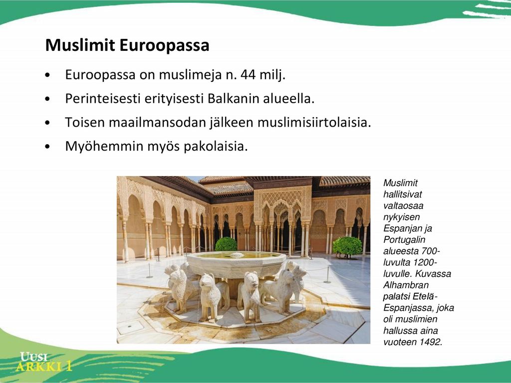 Muslimit Euroopassa Euroopassa on muslimeja n. 44 milj.