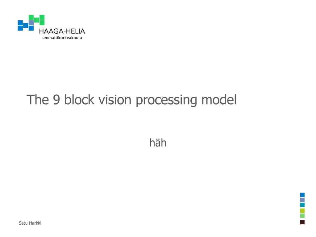 The 9 block vision processing model
