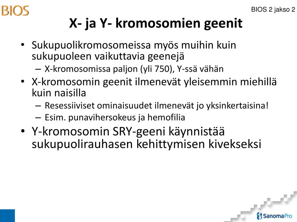X- ja Y- kromosomien geenit