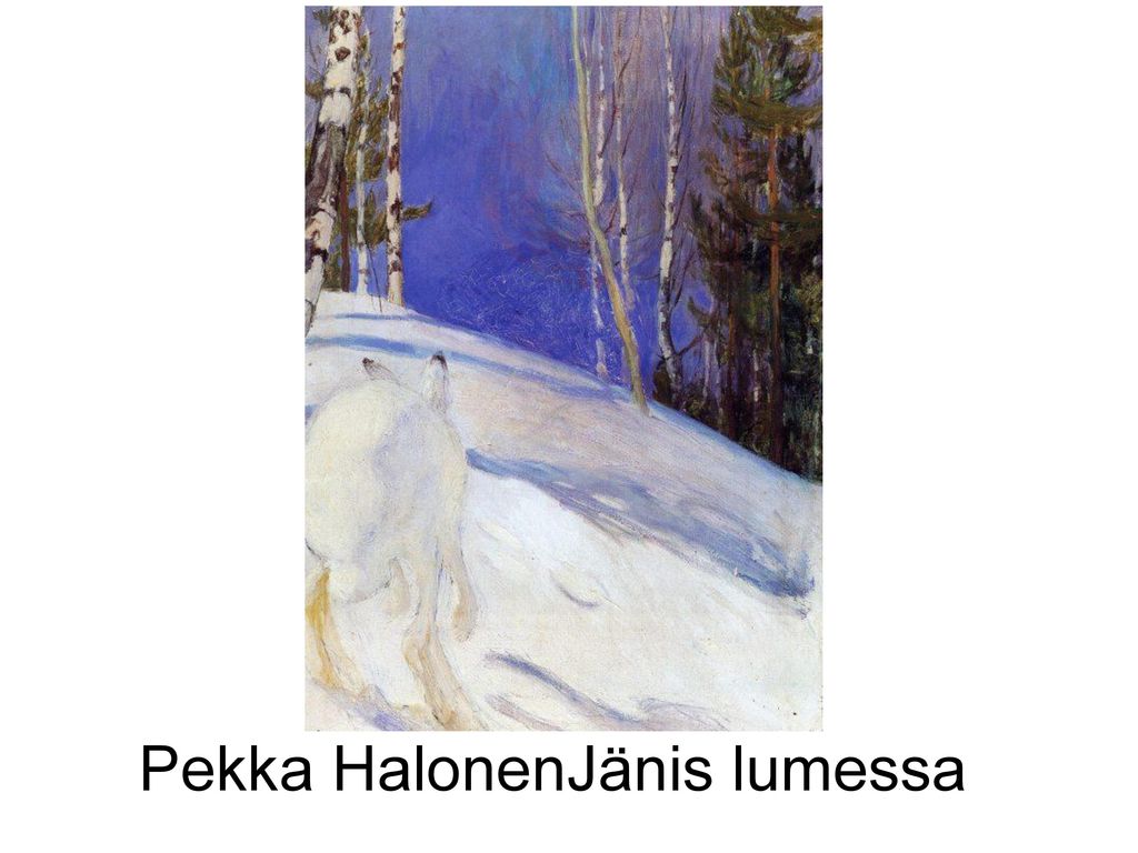 Pekka HalonenJänis lumessa