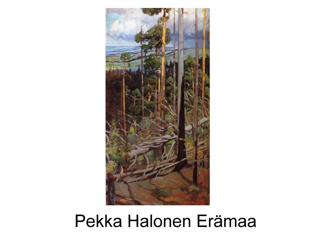 Pekka Halonen Erämaa
