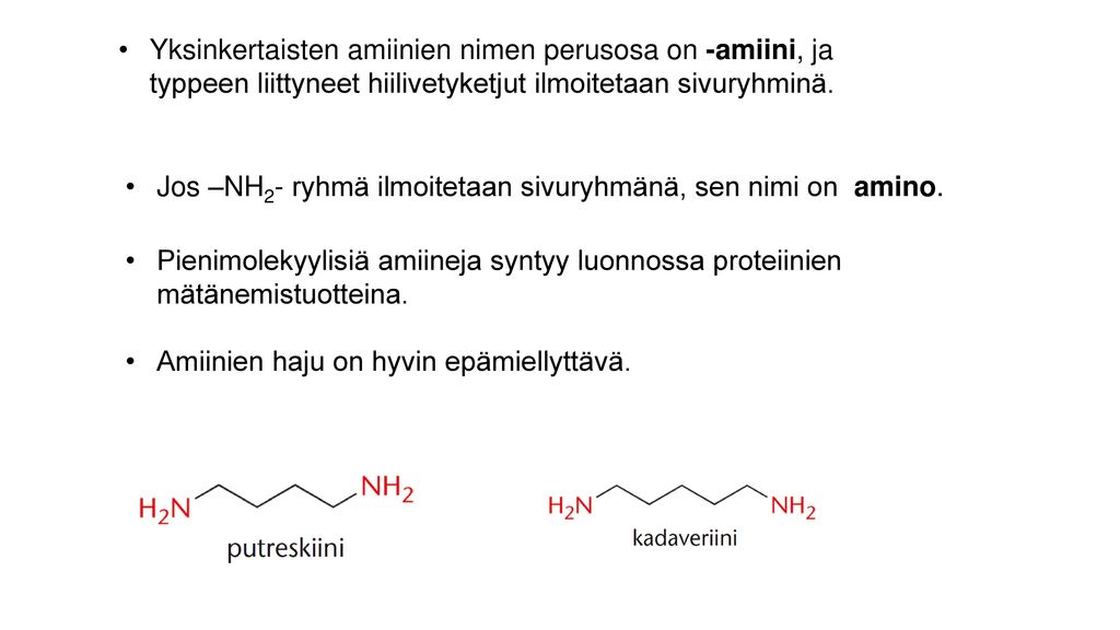 Yksinkertaisten amiinien nimen perusosa on -amiini, ja typpeen liittyneet hiilivetyketjut ilmoitetaan sivuryhminä.