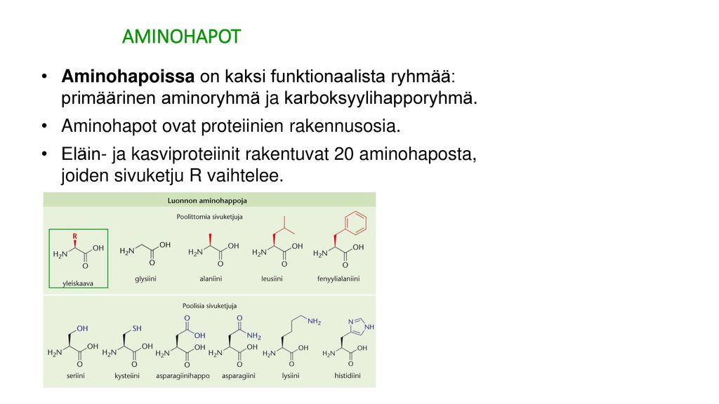 AMINOHAPOT Aminohapoissa on kaksi funktionaalista ryhmää: primäärinen aminoryhmä ja karboksyylihapporyhmä.