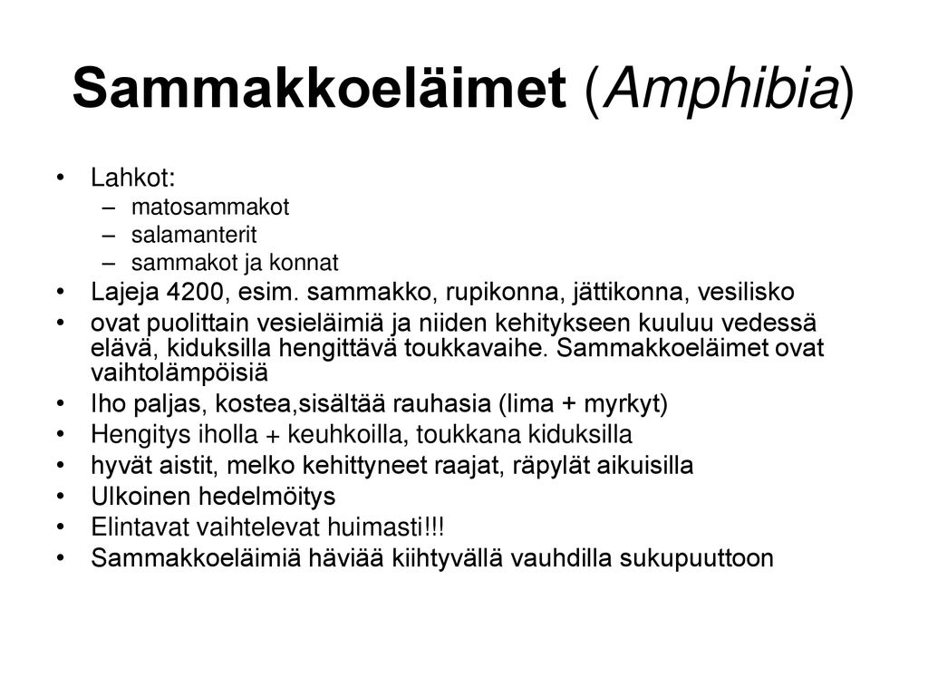 Sammakkoeläimet (Amphibia)
