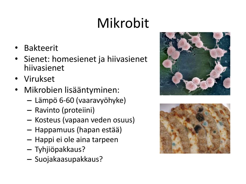 Mikrobit Bakteerit Sienet: homesienet ja hiivasienet hiivasienet