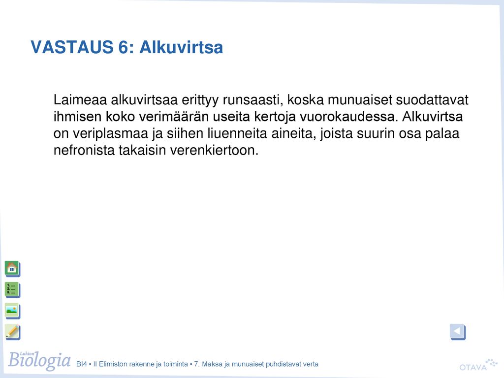 VASTAUS 6: Alkuvirtsa