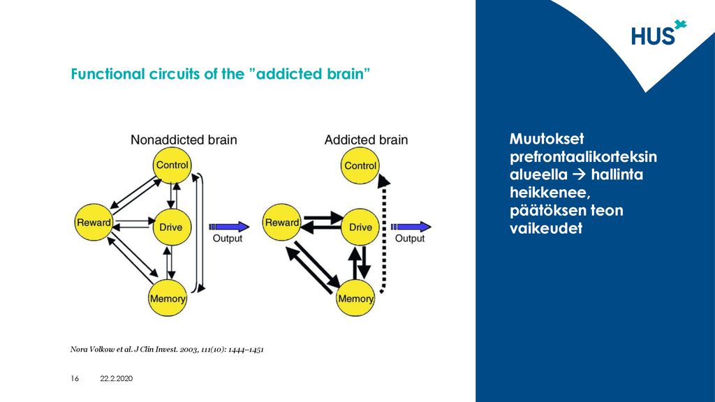 Functional circuits of the addicted brain