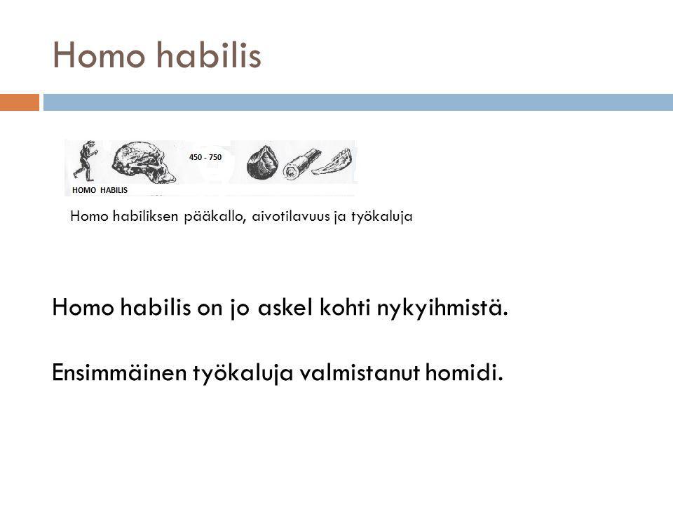 Homo habilis Homo habilis on jo askel kohti nykyihmistä.