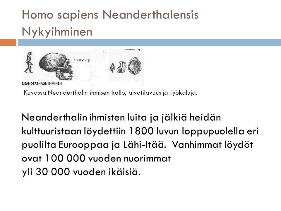 Homo sapiens Neanderthalensis Nykyihminen