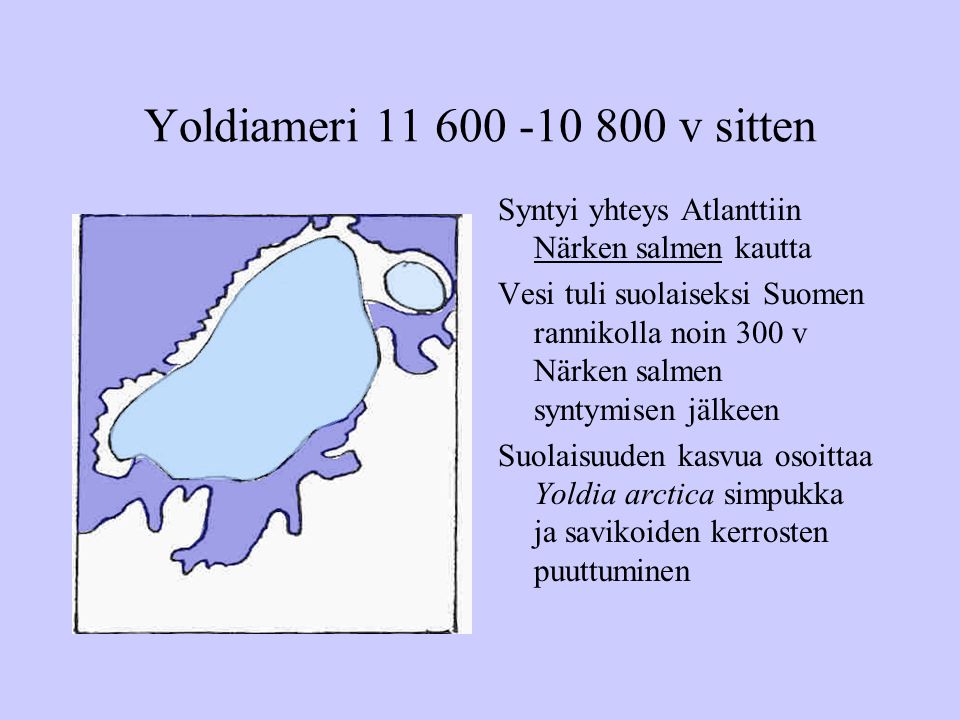 Yoldiameri v sitten Syntyi yhteys Atlanttiin Närken salmen kautta.
