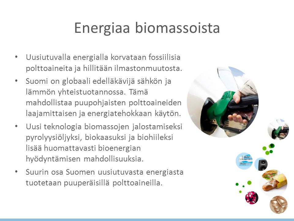 Energiaa biomassoista