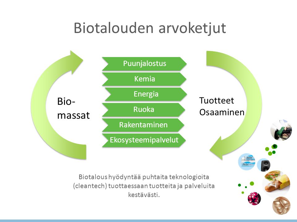 Biotalouden arvoketjut