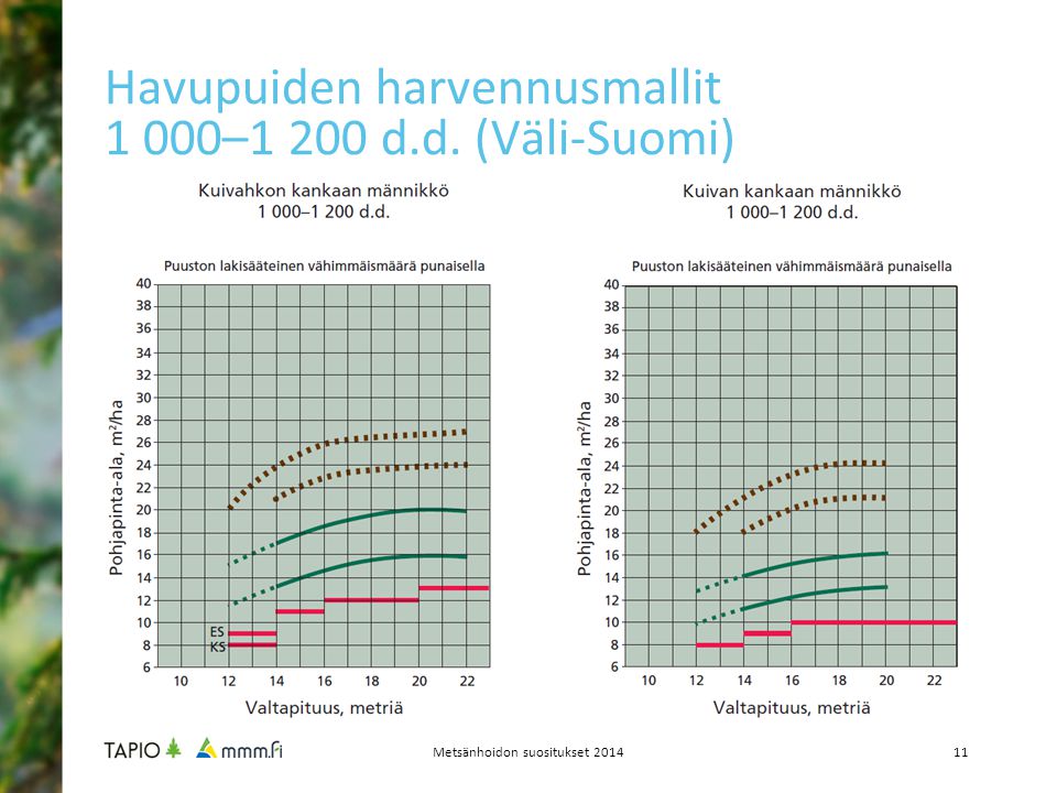 Havupuiden harvennusmallit 1 000–1 200 d.d. (Väli-Suomi)