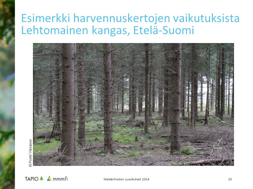 Metsänhoidon suositukset 2014