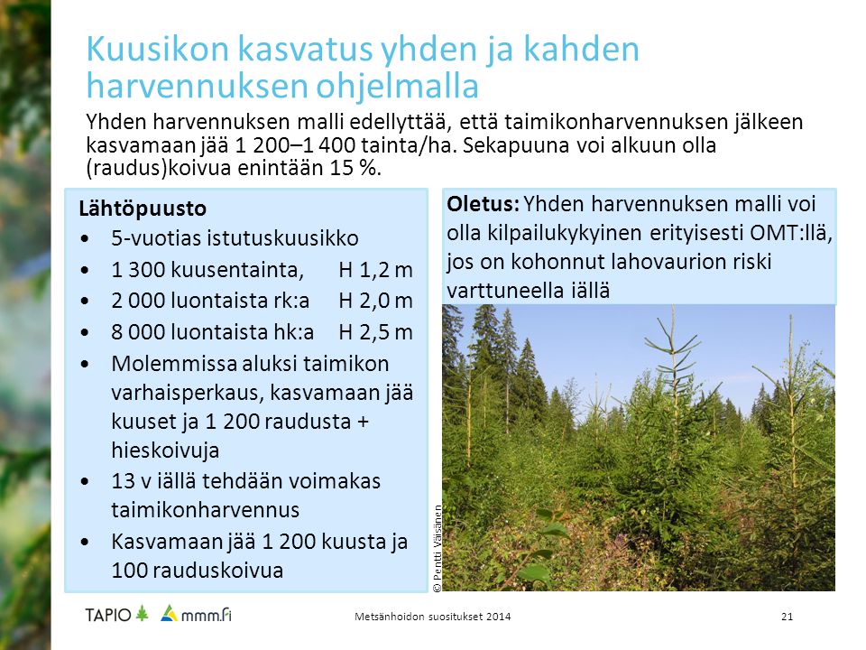 Metsänhoidon suositukset 2014