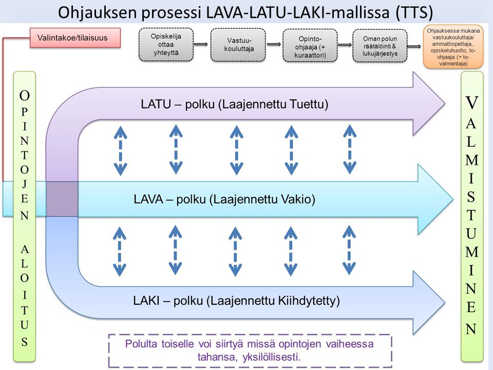 Ohjauksen prosessi LAVA-LATU-LAKI-mallissa (TTS)