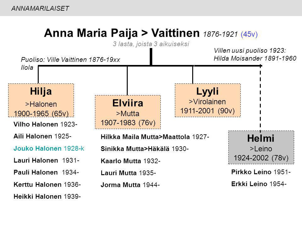 Anna Maria Paija > Vaittinen (45v)