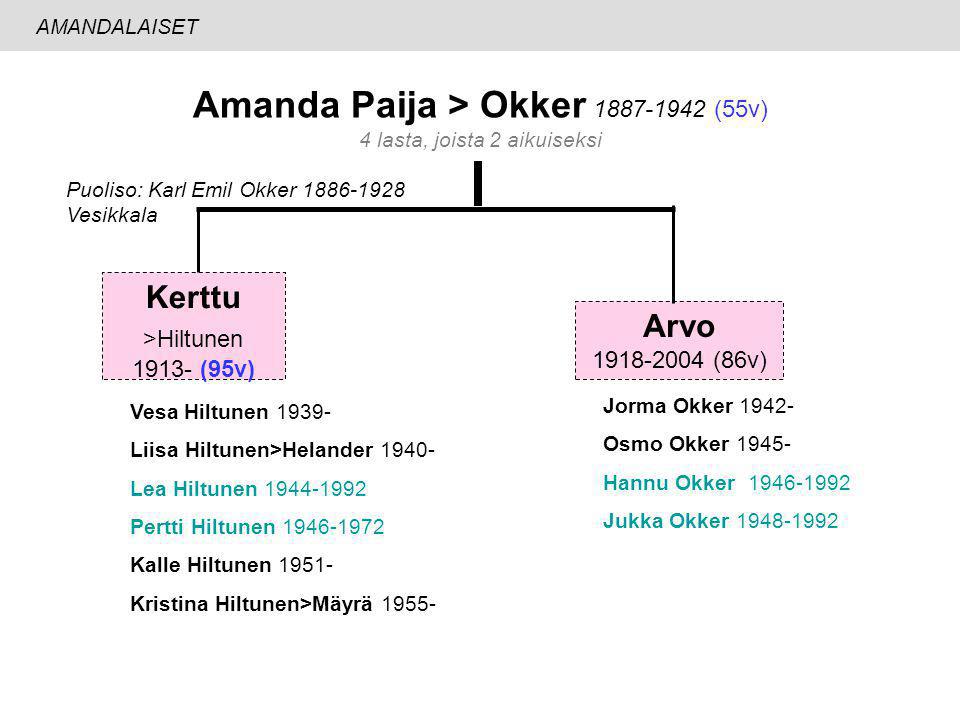 Amanda Paija > Okker (55v)