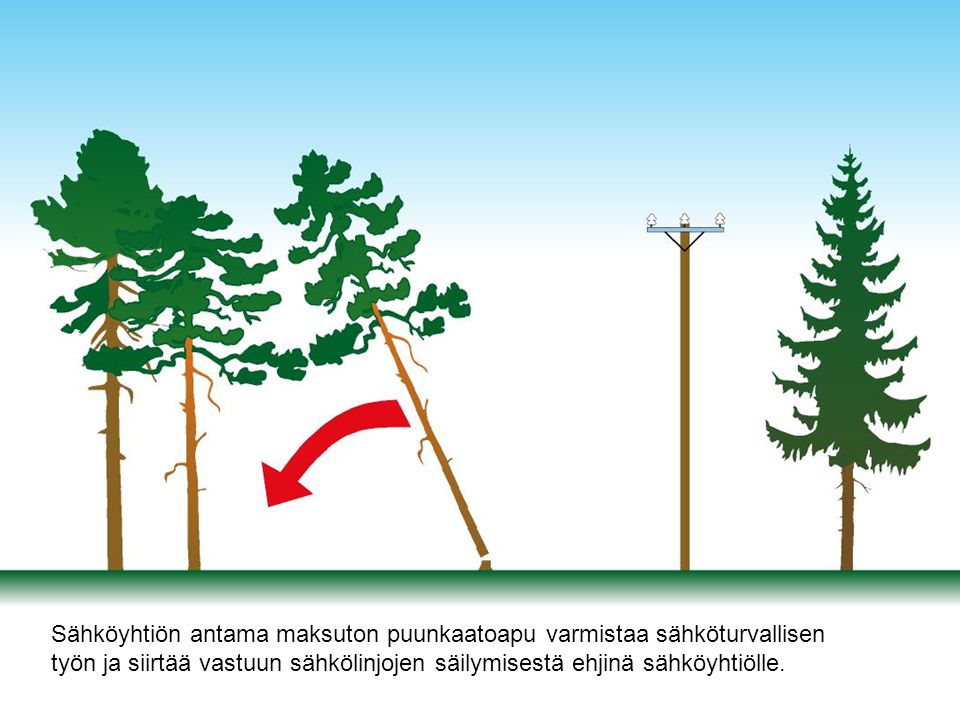 Sähköyhtiön antama maksuton puunkaatoapu varmistaa sähköturvallisen