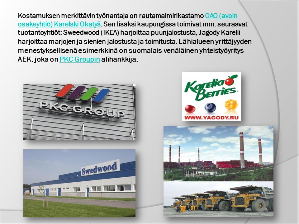 Kostamuksen merkittävin työnantaja on rautamalmirikastamo OAO (avoin osakeyhtiö) Karelski Okatyš.