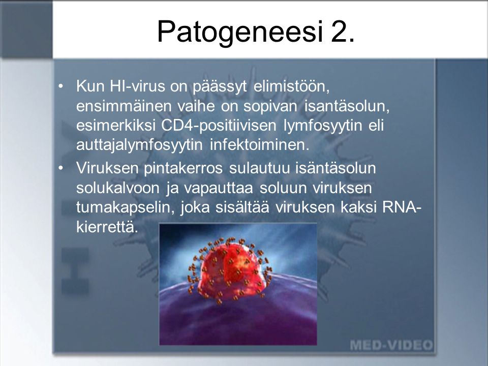 Patogeneesi 2.