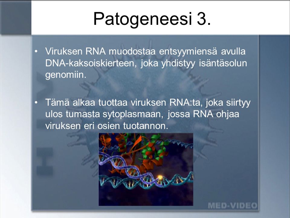 Patogeneesi 3. Viruksen RNA muodostaa entsyymiensä avulla DNA-kaksoiskierteen, joka yhdistyy isäntäsolun genomiin.