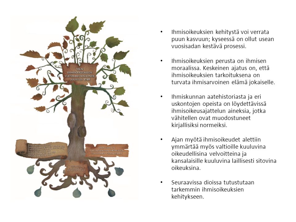 Ihmisoikeuksien kehitystä voi verrata puun kasvuun; kyseessä on ollut usean vuosisadan kestävä prosessi.