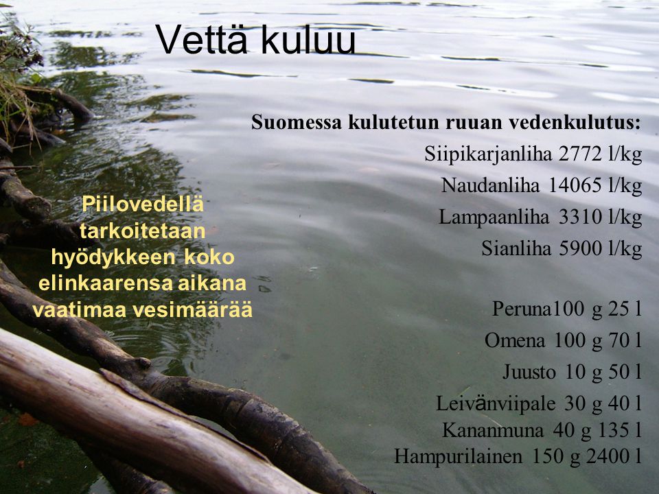 Vettä kuluu Suomessa kulutetun ruuan vedenkulutus: