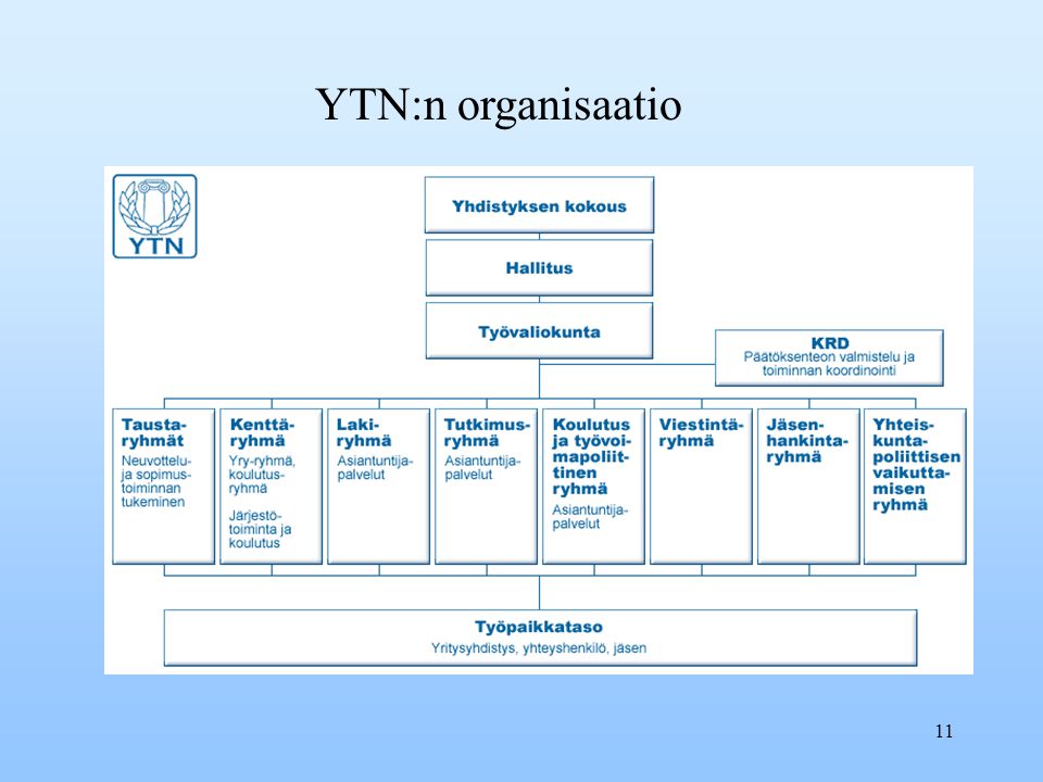 YTN:n organisaatio