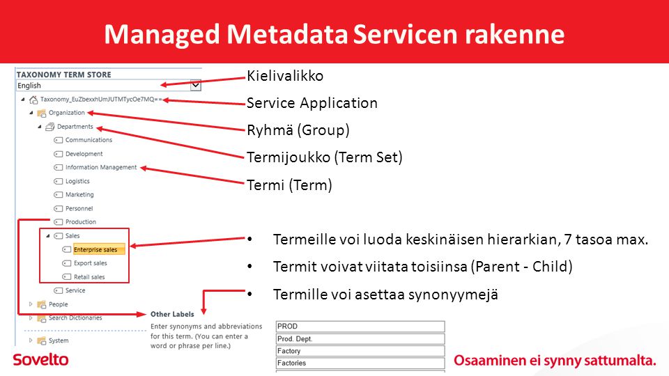 Managed Metadata Servicen rakenne