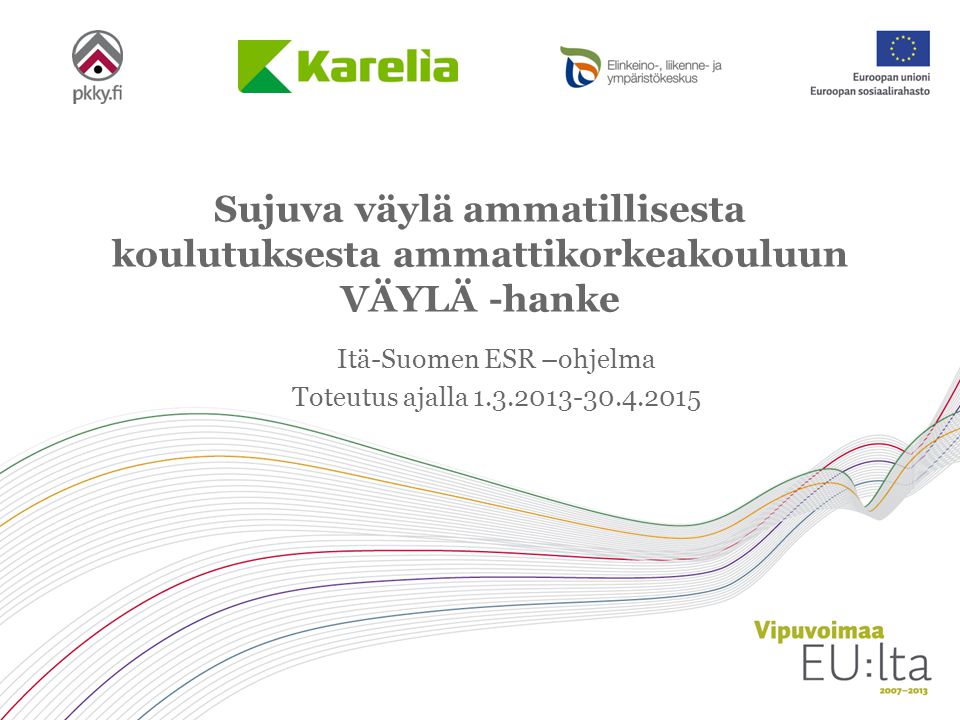 Itä-Suomen ESR –ohjelma Toteutus ajalla