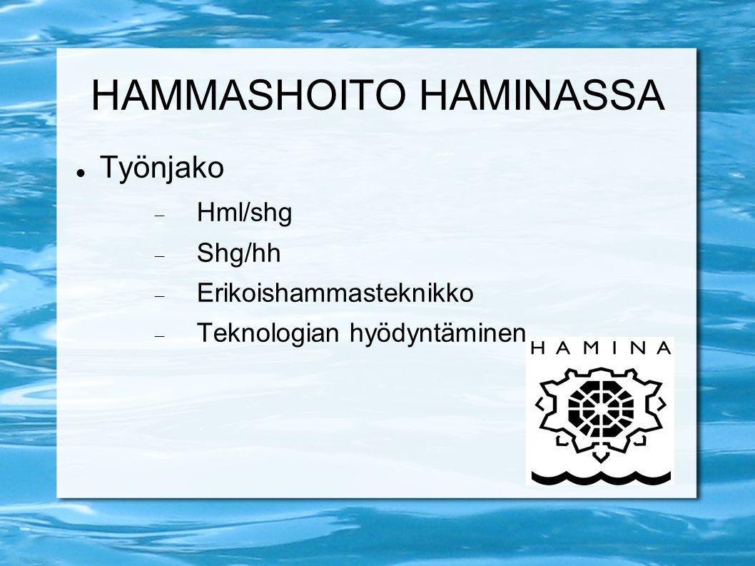 HAMMASHOITO HAMINASSA