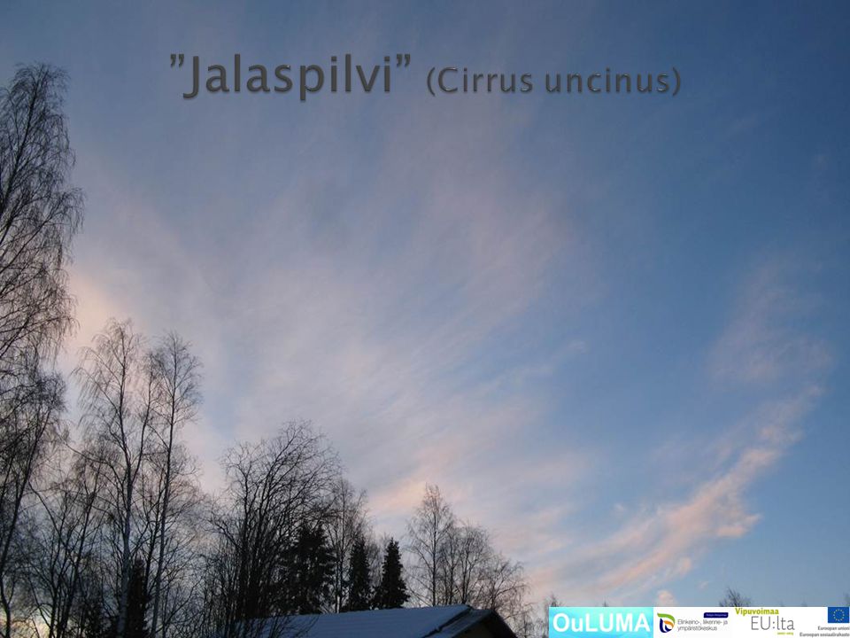 Jalaspilvi (Cirrus uncinus)