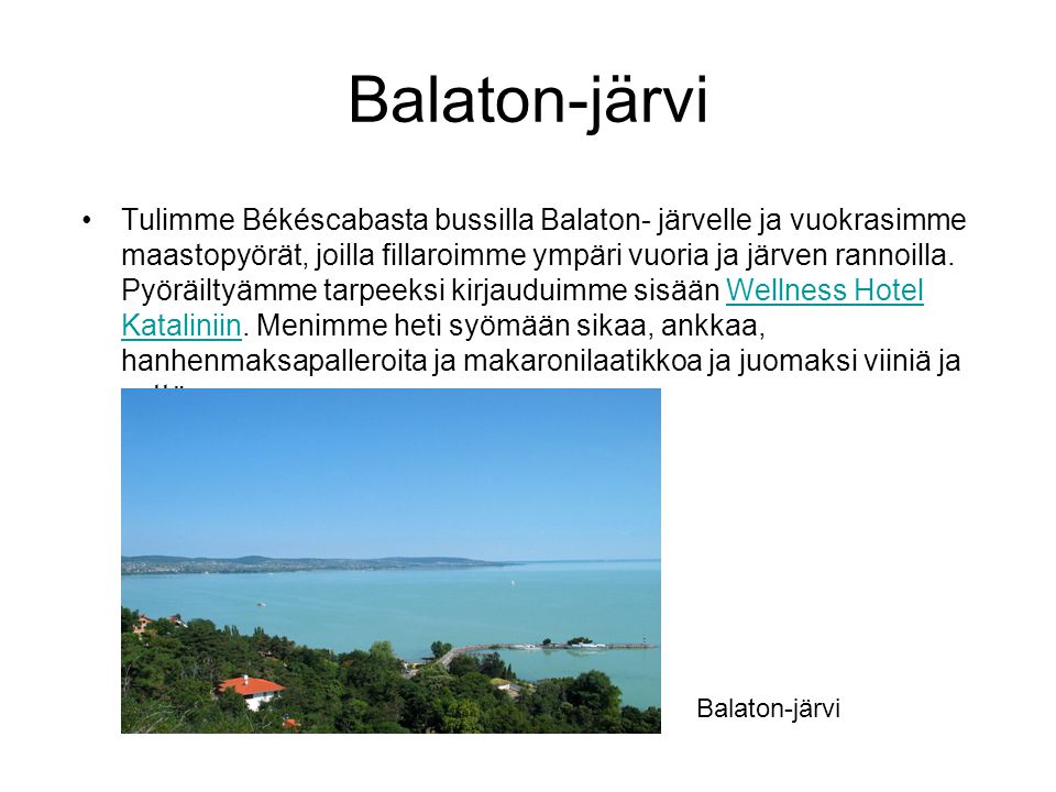 Balaton-järvi