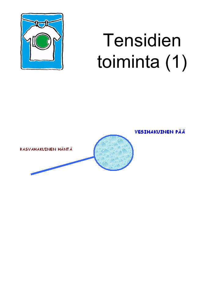 Tensidien toiminta (1) Tensdidien molekyylirakenteessa on rasvahakuinen (vettä hylkivä eli hydrofobinen) häntä ja vesihakuinen (hydrofiilinen) pää.