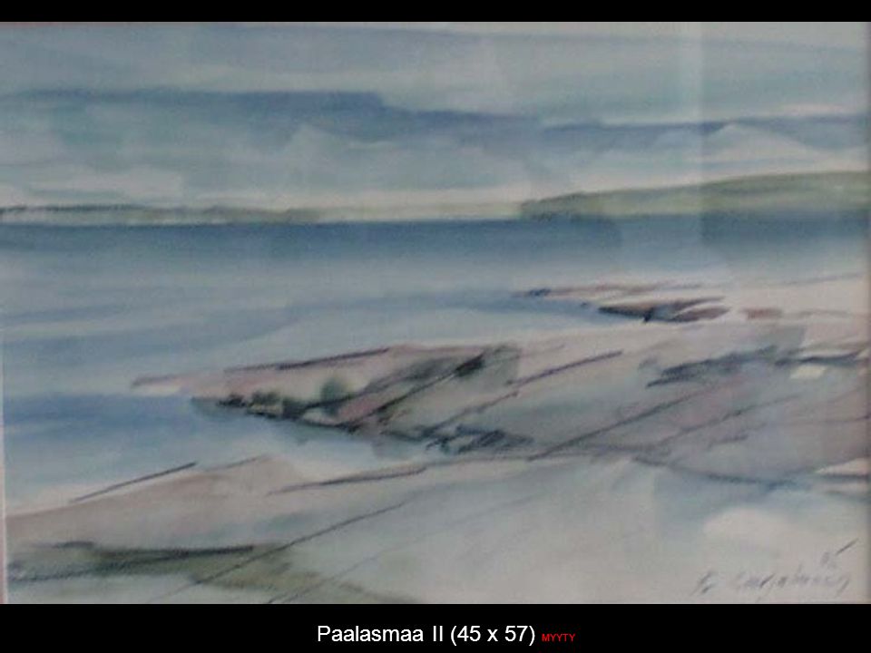 Paalasmaa II (45 x 57) MYYTY