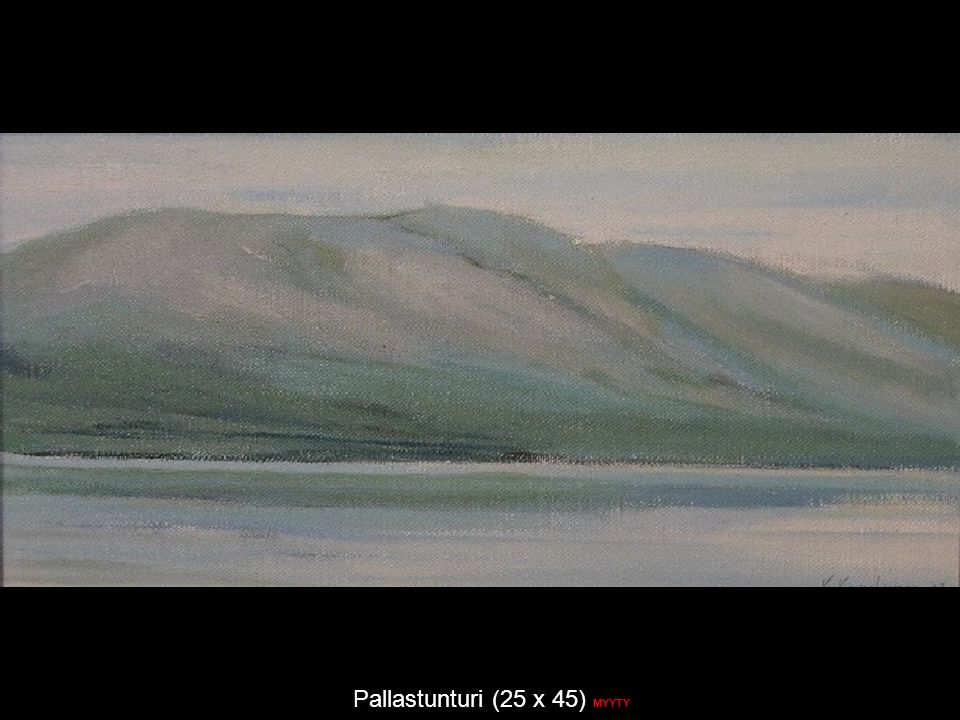 Pallastunturi (25 x 45) MYYTY