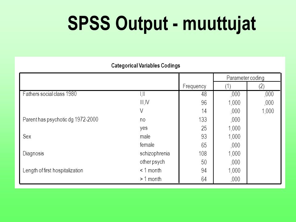 SPSS Output - muuttujat