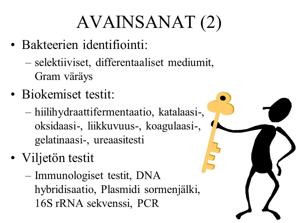 AVAINSANAT (2) Bakteerien identifiointi: Biokemiset testit: