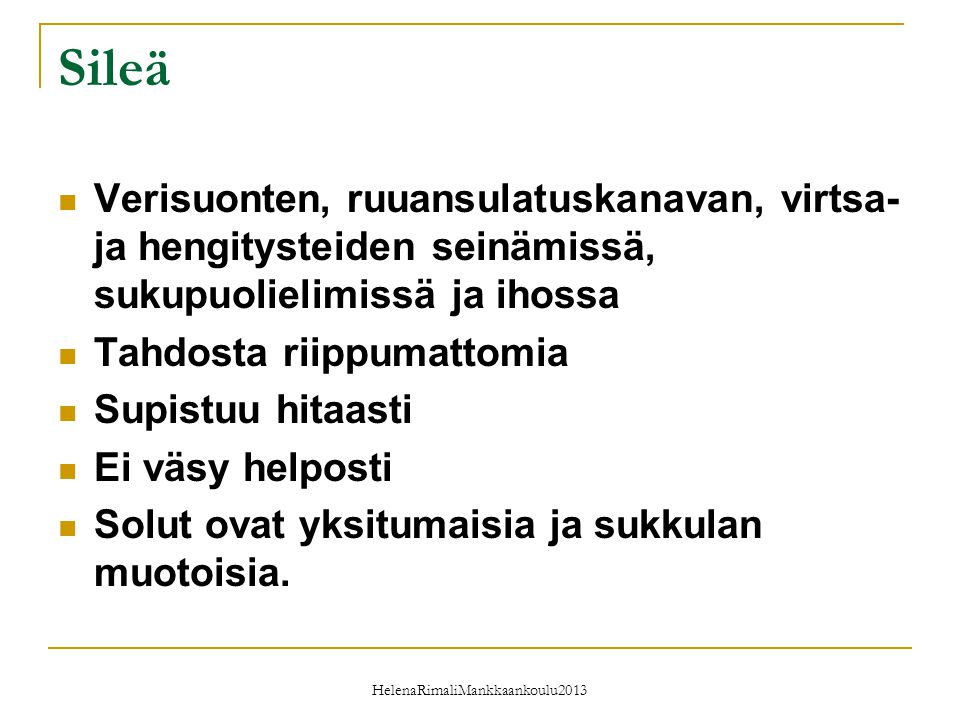 HelenaRimaliMankkaankoulu2013