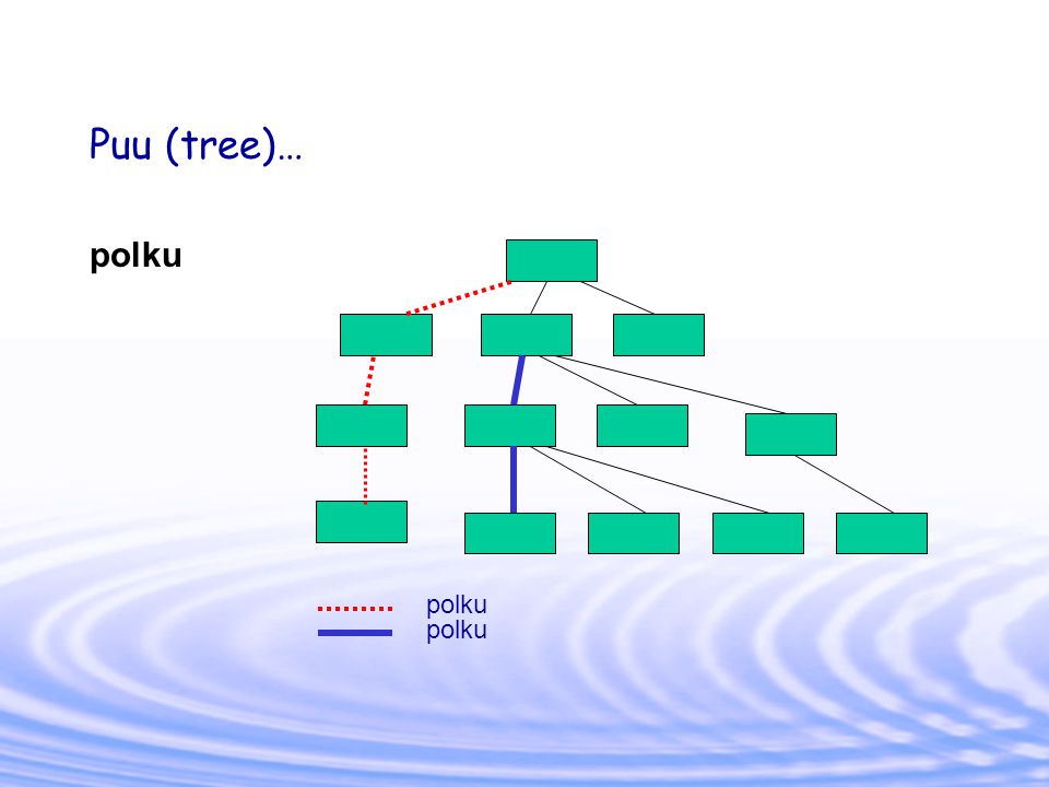 Puu (tree)… polku polku polku