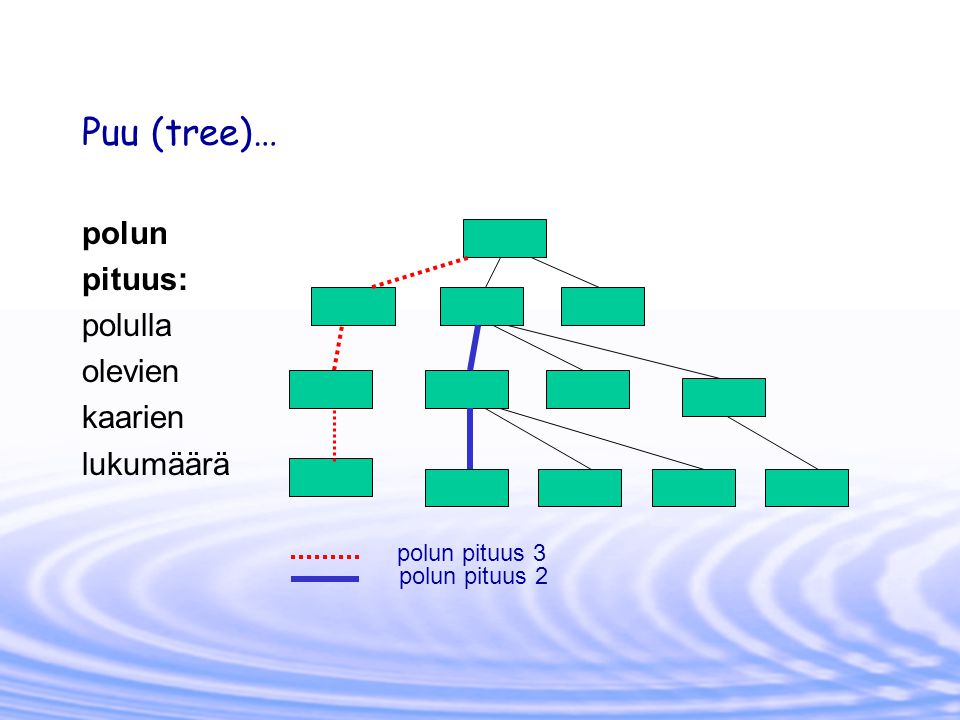 Puu (tree)… polun pituus: polulla olevien kaarien lukumäärä