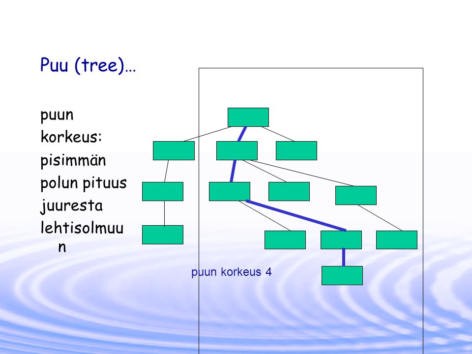 Puu (tree)… puun korkeus: pisimmän polun pituus juuresta lehtisolmuun