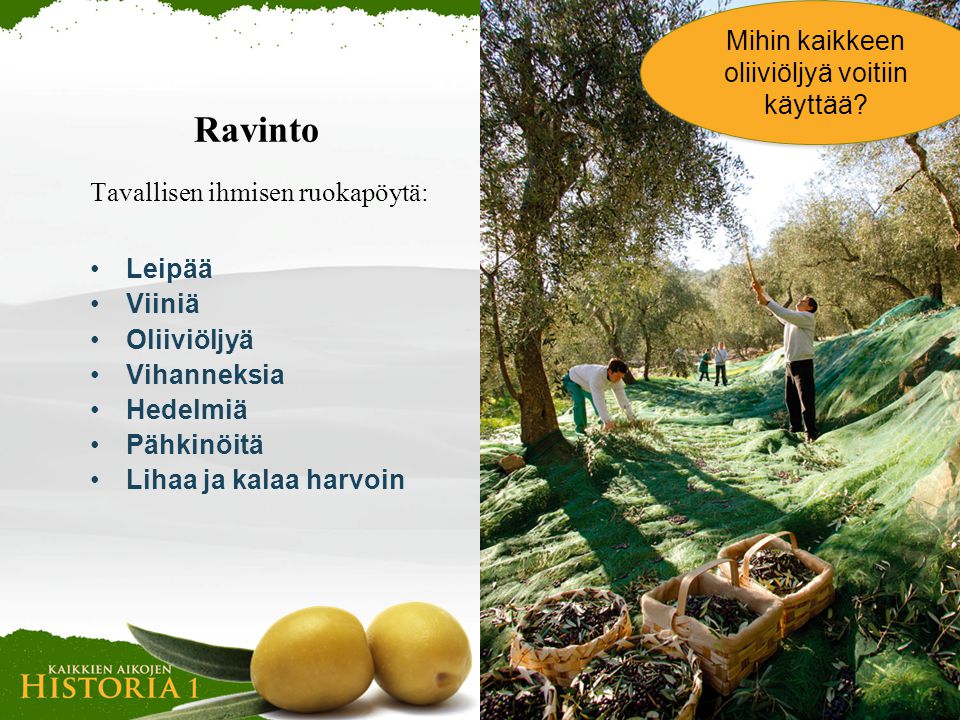 Mihin kaikkeen oliiviöljyä voitiin käyttää