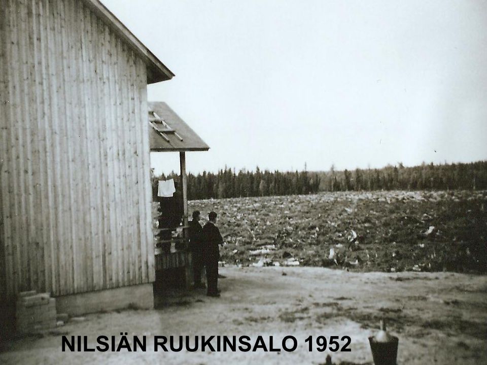 NILSIÄN RUUKINSALO 1952